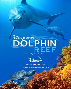 Watch free Dolphin Reef movies HD online