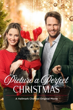 Watch free Picture a Perfect Christmas movies HD online