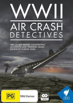 Watch free WWII Air Crash Detectives movies HD online