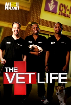 Watch free The Vet Life movies HD online