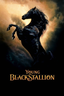 Watch free Young Black Stallion movies HD online