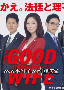 Watch free The Good Wife movies HD online