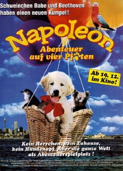 Watch free Napoleon movies HD online