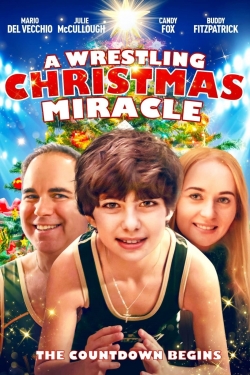 Watch free A Wrestling Christmas Miracle movies HD online