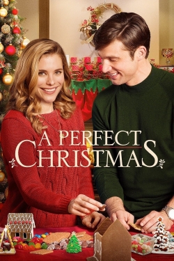 Watch free A Perfect Christmas movies HD online