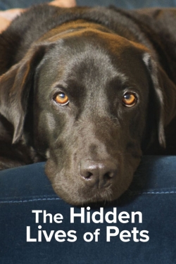 Watch free The Hidden Lives of Pets movies HD online