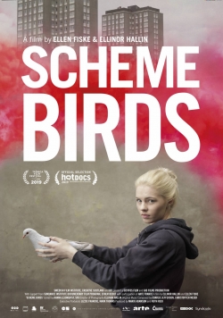 Watch free Scheme Birds movies HD online