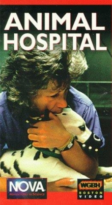 Watch free Animal Hospital movies HD online