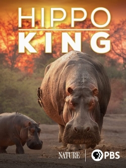 Watch free Hippo King movies HD online