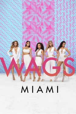 Watch free WAGS Miami movies HD online