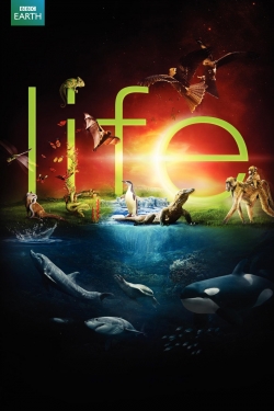 Watch free Life movies HD online