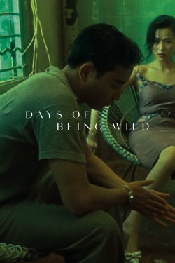 Watch free Days of Being Wild movies HD online