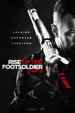 Watch free Rise of the Footsoldier Part II movies HD online