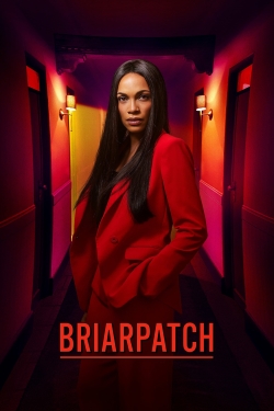 Watch free Briarpatch movies HD online