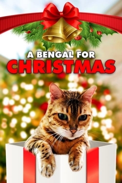 Watch free A Bengal for Christmas movies HD online