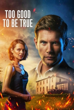 Watch free Too Good To Be True movies HD online