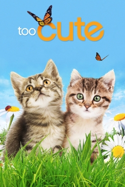 Watch free Too Cute movies HD online