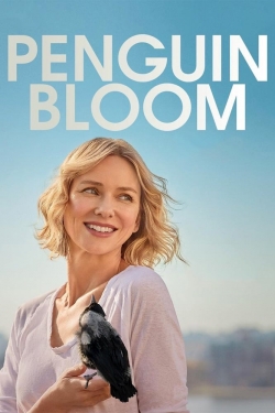 Watch free Penguin Bloom movies HD online