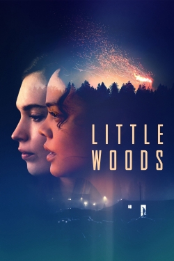 Watch free Little Woods movies HD online