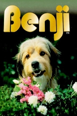 Watch free Benji movies HD online