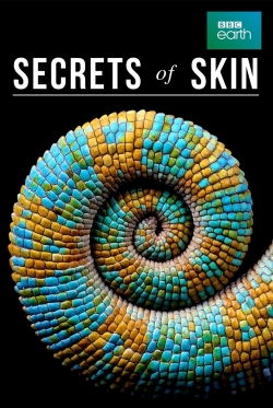 Watch free Secrets of Skin movies HD online