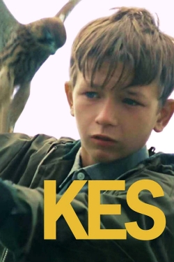 Watch free Kes movies HD online