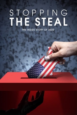 Watch free Stopping the Steal movies HD online