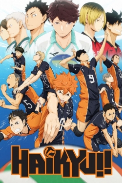 Watch free Haikyu!! movies HD online