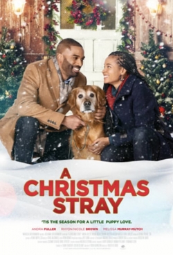 Watch free A Christmas Stray movies HD online