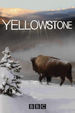 Watch free Yellowstone movies HD online