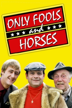 Watch free Only Fools and Horses movies HD online