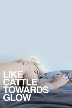 Watch free Like Cattle Towards Glow movies HD online