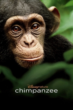 Watch free Chimpanzee movies HD online