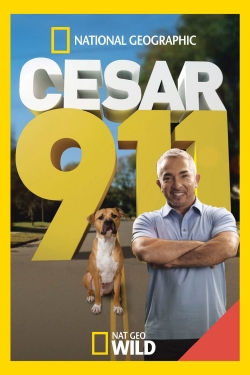 Watch free Cesar 911 movies HD online