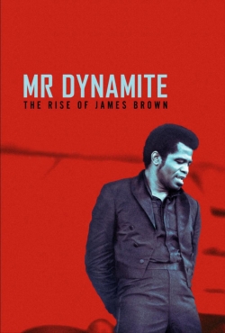 Watch free Mr. Dynamite - The Rise of James Brown movies HD online