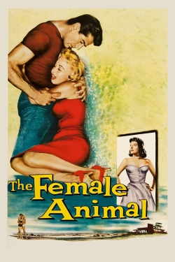 Watch free The Female Animal movies HD online