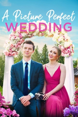 Watch free A Picture Perfect Wedding movies HD online