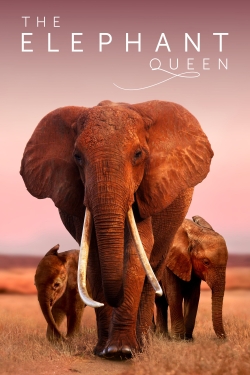 Watch free The Elephant Queen movies HD online