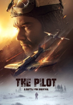 Watch free The Pilot. A Battle for Survival movies HD online