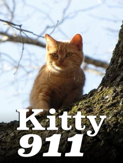 Watch free Kitty 911 movies HD online