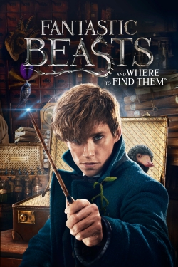 Watch free Fantastic Beasts and Where to Find Them movies HD online