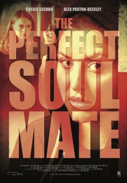 Watch free The Perfect Soulmate movies HD online